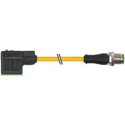 Murrelektronik M12-Stecker 7000-40881-2260200 Sensor-Aktor-Kabel M12-Stecker