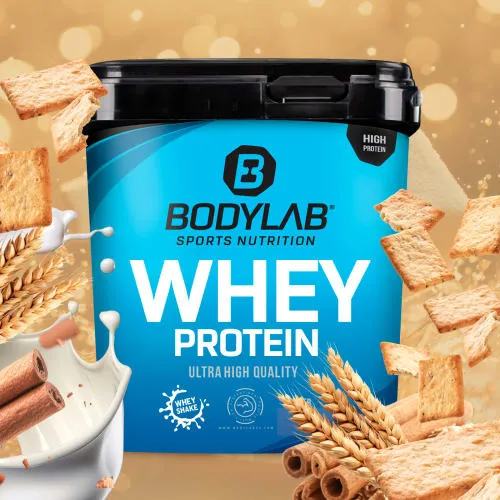 Bodylab24 Whey Protein Pulver, Cinnamon Cereal, 1kg - Molkenproteine mit bis zu 80% Eiweißgehalt, ideal für Muskelaufbau und Fitness. Perfekte Löslichkeit in Wasser und Milch, frei von Aspartam.