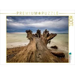 CALVENDO Puzzle CALVENDO Puzzle Baumstamm an der Ostseeküste 1000 Teile Lege-Größe 64 x 48 cm Foto-Puzzle Bild von Rico Ködder, 1000 Puzzleteile