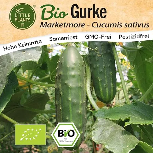 Little Plants BIO Gurke Samen 10 Gurkensamen Marketmore Gemüsesamen für Gemüsegarten Topf Samenfest Gemüse Samen für Küche, Balkon und Garten