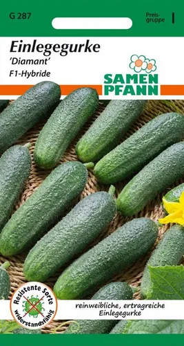 SAMEN PFANN Gemüsesamen Gurken-Samen Einlegegurke, Diamant F1 - Saatgut Samen Gurke, Cucumis sativus