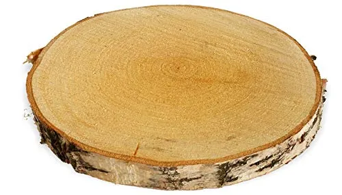 Große Holzscheibe zum Basteln oder Dekorieren - 1 Stück naturbelassene Baumscheibe aus Birkenholz mit 25 - 30 cm Durchmesser - runde Holz Birkenscheibe als Deko Holzplatte Holzdeko
