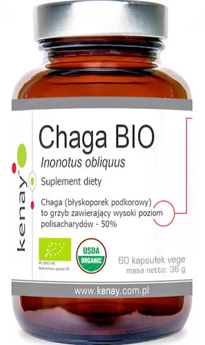 CHAGA BIO ECO (Polysaccharide 50%) 500mg 60 Kapseln - Nahrungsergänzungsmittel
