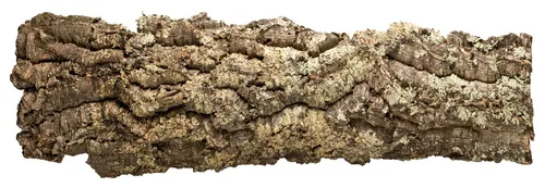 Kork Rinde XXL | 100x30 cm - Natur Korkplatte - Höhlen für Reptilien und Nager, ideal zum Verstecken und Wohlfühlen, gereinigt und aus hochwertigem Kork gefertigt.