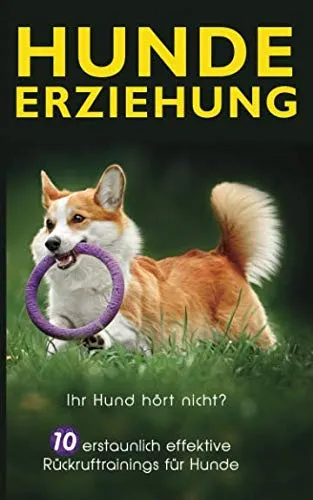 Hundeerziehung: Ihr Hund hört nicht? 10 erstaunlich effektive Rückruftrainings für Hunde