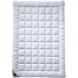 Billerbeck Sommerdecke Alcando Light, 135x200 cm - Bettdecken - Hochwertige Sommerdecke mit temperaturausgleichender Polyesterfüllung, ideal für Hausstauballergiker und sorgt für erholsamen Schlaf.