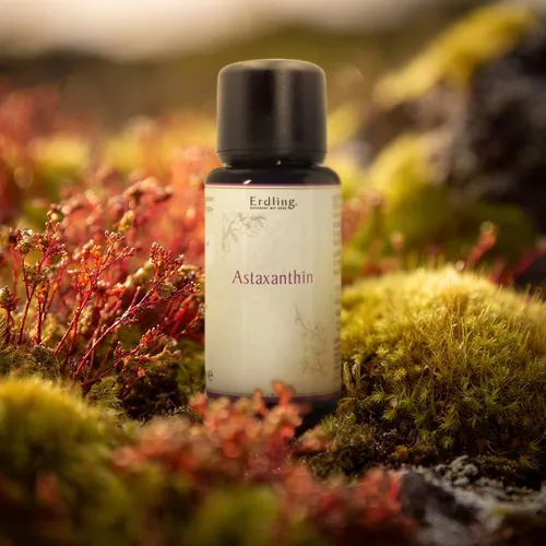 Astaxanthin aus Island - 30ml - Nahrungsergänzungsmittel mit hochwertigem Astaxanthin aus isländischer Blutregenalge, reich an Antioxidantien für einen starken Zellschutz und ohne Zusatzstoffe, vegan und glutenfrei.