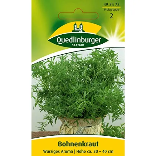 Quedlinburger Bohnenkraut würzig - Satureja hortensis / ideal zum einlegen & würzen / Ernte Juni bis Oktober