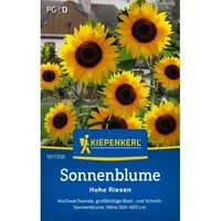 Kiepenkerl Sonnenblume Hohe Riesen Helianthus annuus