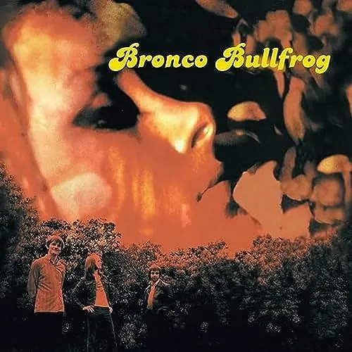 Bronco Bullfrog - Bronco Bullfrog (Vinyl 2LP - 1998 - EU - Reissue)