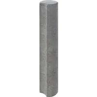 DIEPHAUS Randbefestigung »KLEIN-PALISADE«, 15x15x100 cm