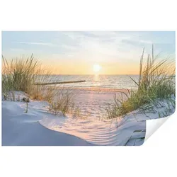 WallArena Fototapete Strand Meer Nordsee Dünen Panorama - Moderne Vlies Tapete für Wohnzimmer und Schlafzimmer, UV-beständig, geruchsfrei und kinderleichte Montage ohne Einweichzeit.