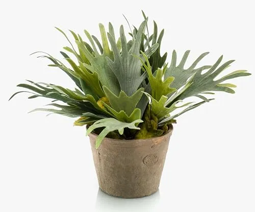artplants.de Plastik Geweihfarn ALATOZ im Terracottatopf, grün, 35cm - Dekorativer künstlicher Geweihfarn in einem stilvollen Terracottatopf. Ideal für kreative Raumgestaltungen und pflegeleichte Deko-Elemente.