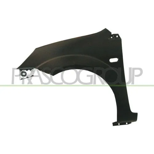 Premium Kotflügel Prasco FD3403014 für Ford Vorne Links - Seitenwände & Kotflügel Hinten, hochwertiger Kotflügel mit Loch für Blinkleuchte, passend für zahlreiche Ford Modelle.
