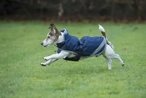 Bucas Freedom Hundedecke 150gram - Decken für Hunde, atmungsaktive und wasserabweisende Material für optimalen Schutz und Komfort bei jedem Wetter.