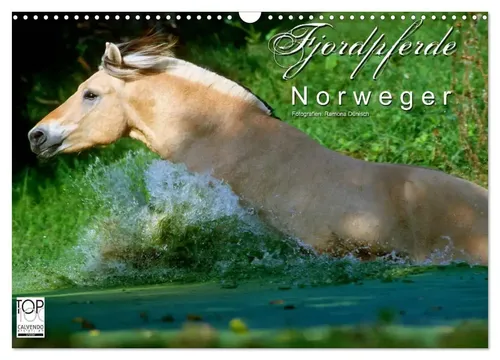 Ramona Dünisch - Www. Ramona-Duenisch. De | Fjordpferde - Norweger...