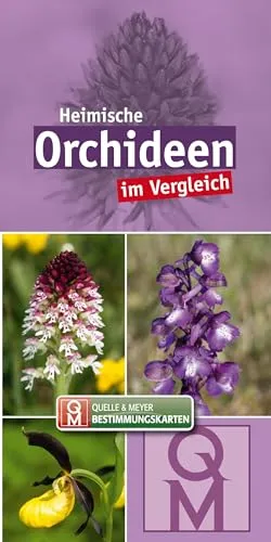 Heimische Orchideen im Vergleich: 10er-Set (Quelle & Meyer Bestimmungskarten)