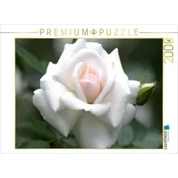 CALVENDO Puzzle Rose 'Gruß an Aachen' 2000 Teile Lege-Größe 90x67cm Foto-Puzzle für glückliche Stunden
