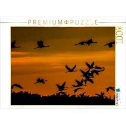 CALVENDO Puzzle CALVENDO Puzzle Kraniche an der Ostsee 1000 Teile Lege-Größe 64 x 48 cm Foto-Puzzle Bild von Reinhold Wittich, 1000 Puzzleteile