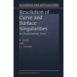 Resolution of Curve and Surface Singularities in Characteristic Zero von K. Kiyek/ J. L. Vicente / Springer Netherlands / Taschenbuch