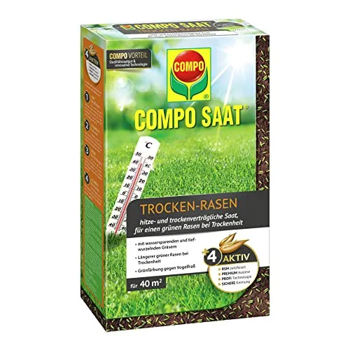COMPO SAAT Trocken-Rasen, 1 kg - Hitze- und trockenverträgliche Rasensamen - Rasendünger für trockene und sonnige Standorte mit wassersparenden, tief wurzelnden Gräsern. Ideal für langanhaltendes Grün und sichere Keimung auch unter ungünstigen Bedingungen.