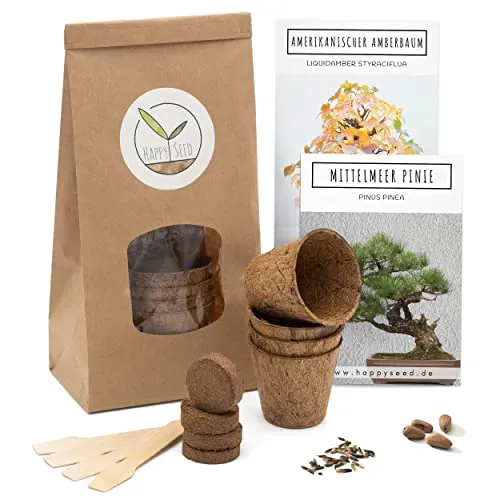 Bonsai Starter Kit Anzuchtset inkl. eBook - Pflanzset aus Kokostöpfen, Samen & Erde - nachhaltige Geschenkidee für Pflanzenfreunde (Mittelmeer Pinie + Amerikanischer Amberbaum)