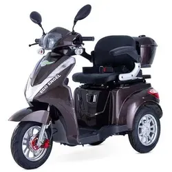 ECO ENGEL 501 Elektroroller - Behinderten-Bedarf mit 1000 W Motor für Steigungen, 3 Geschwindigkeitsstufen und herausnehmbaren 30 Ah Li-Io Akku für flexibles Laden.