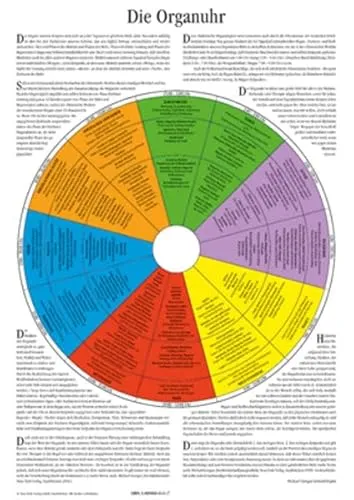 Die Organuhr: Plakat Din A 2