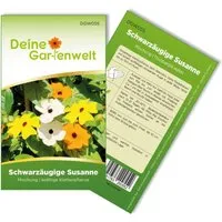Deine Gartenwelt Schwarzäugige Susanne Mischung Samen