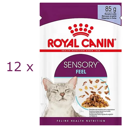 Royal Canin Sensory Feel Jelly | 12 x 85 g | Nassfutter für Katzen - Leckeres Nassfutter mit Stückchen in Gelee für ausgewachsene Katzen. Ideal zur Anregung des Geschmackssinns und für eine abwechslungsreiche Ernährung.