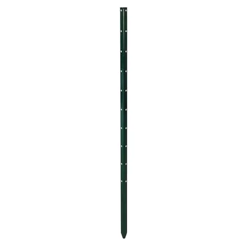 bellissa - Pflanzenstab Timo – grüne Pflanzenstütze & Rankhilfe aus Stahl (150 cm) – vielseitig als Pflanzenhalter, Rankstab & Blumenhalter einsetzbar für Tomaten im Garten, Hochbeet & auf dem Balkon