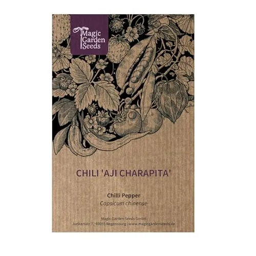 Chili 'Aji Charapita' - Capsicum chinense Samen | scharfe Urwald-Chili aus Peru | buschig, mehrjährig, Topfgeeignet | 50.000-100.000 Scoville | Rarität