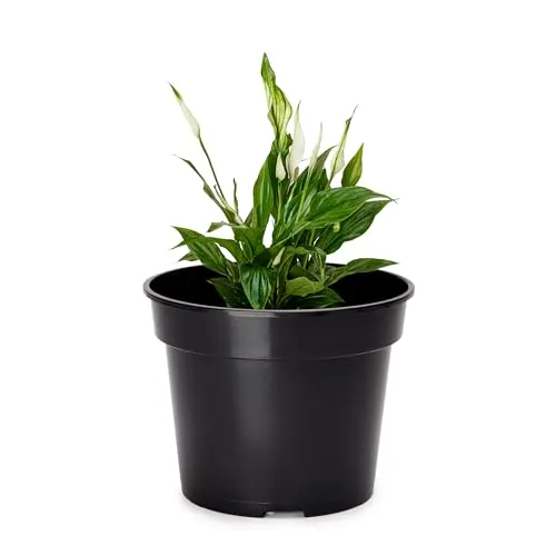 Garronda Blumentopf Kunststoff Pflanztopf rund Kräutertopf Anzuchttöpfe Blumentopf Schwarz für Innen und Aussen 15cm GD-0025 (Schwarz, ⌀ 15 cm H 11,5 cm)