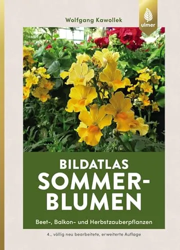 Sommerblumen: Beet-, Balkon- und Herbstzauberpflanzen - Kräuter in Haus & Garten, umfangreicher Bildatlas mit Tipps für eine blühende Sommer- und Herbstsaison.