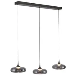 Paul Neuhaus Pendelleuchte grau - Elegante Deckenleuchte in Grau, Maße: B: 22 cm, H: 200 cm, ideal für stilvolle Raumbeleuchtung. Hochwertige Materialien für langlebige Qualität.