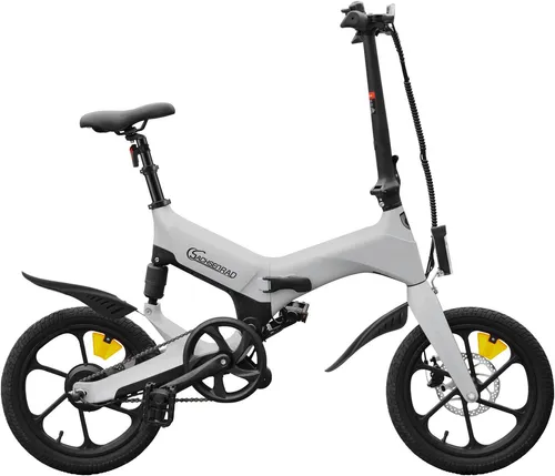 SachsenRad E-Bike Faltrad F12 - Klapprad 16 Zoll in Titansilber - E-Bike Faltrad für Unisex, 16" Zoll mit 25 km/h Maximalgeschwindigkeit, kompakt klappbar und ideal für den urbanen Alltag, mit hochwertigem Magnesiumrahmen.