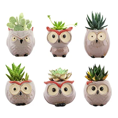Lewondr Succulents Flowerpots, 6 Pack 2.5 inch Owl Flower Pot Bonsai Plant Pots Ceramics Planter Container Set for Home Office Desk Shelf Window Décor, Colorful 02