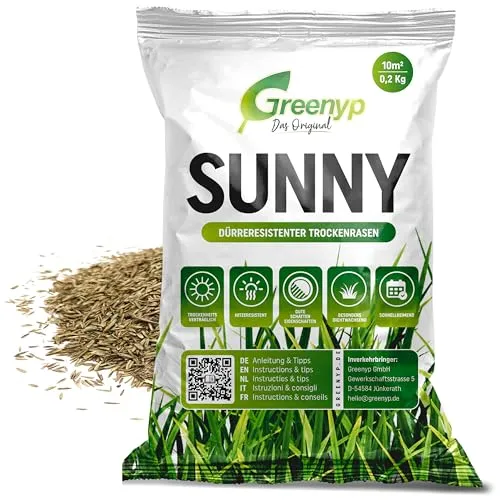 Greenyp® Sunny Trockenrasen - 0,2kg für 10m² - 🌱 IDEAL FÜR TROCKENE BÖDEN - Dieser pflegeleichte Rasen ist optimal für sonnige Standorte und überzeugt mit schneller Keimung, sodass Sie nach nur 2 Wochen erste Erfolge sehen. 🌱 INKL. ANLEITUNG - Mit hilfreichen Tipps für den perfekten Rasen auch für Anfänger.
