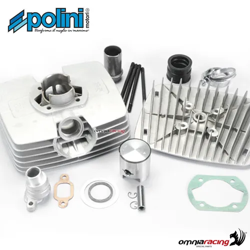 Polini 80cc Zylinderkit für Fantic Regolarita 50 Minar.P6 - Zylinder-Set für Scooter mit 2 Jahren Herstellergarantie, ideal für verbesserte Leistung und Fahrspaß.