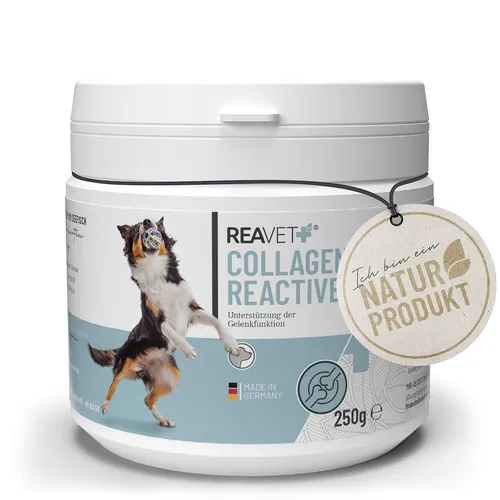 Collagen Reactive 250g - Hochwertiges Kollagenpulver für Haut, Haare und Gelenke - Tiergesundheit – Unterstützt die natürliche Kollagenproduktion für gesunde Haut, glänzende Haare und bewegliche Gelenke. Ideal für die tägliche Anwendung!