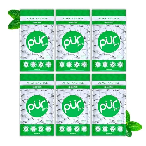 PUR Gum | Zuckerfreier Kaugummi | Mit Xylit | Vegan, Aspartamfrei & Glutenfrei | Natürlicher Kaugummi Mit Spearmint-Geschmack, 55 Stück (6er Pack)