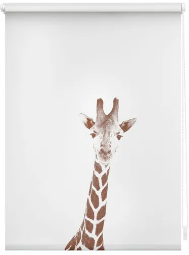 Lichtblick Rollo Klemmfix Giraffe - Braun 45 x 150 cm - Rollos für Kinderzimmer, ohne Bohren, einfach zu montieren mit Klemmträgern und 100% Verdunkelung für gemütliche Atmosphäre.