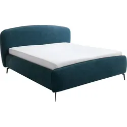 meise.möbel Bettgestell MODENA 180 x 200 cm - Dunkelgrün mit gepolstertem Kopfteil - Bettgestell in elegantem dunkelgrünem Stoffbezug, bietet großzügige Liegefläche von 180 x 200 cm und modernen Komfort durch gepolstertes Kopfteil. Ideal für stilvolle Schlafzimmer.
