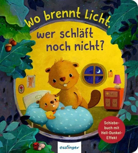 Thienemann - Esslinger Verlag GmbH Wo brennt Licht, wer schläft noch nicht?