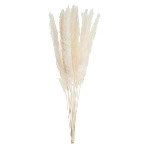 BUTLERS Mini-Pampasgras 30cm Natur -Flower Market- Getrocknetes Ziergras für stilvolle Tischdekoration | Naturdeko für Floristik Gestecke