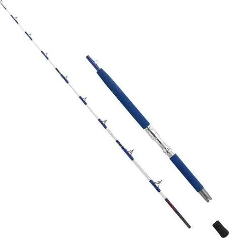 WFT Meeresrute Electra Speed Jig 200 - Angelrute für Meeresfische, 200 cm lang und bis 1600 g Wurfgewicht, ideal für anspruchsvolles Jiggen auf Hochsee-Abenteuer.