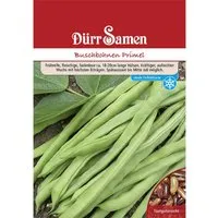 Dürr Samen Buschbohnen Primel 250 G Saatgut