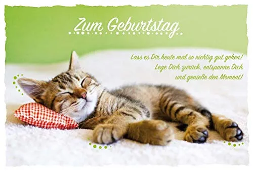 BSB Geburtstagskarte Geburtstagsgrüße Geburtstagswünsche - Katze - Umschlag hellgrün, 591025-2