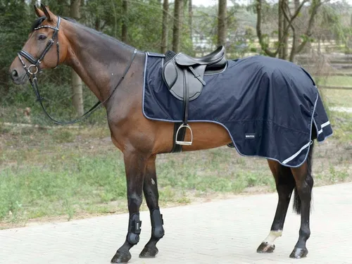 BUSSE Ausreitdecke 100g Raintrainer Navy 145 - Ausreitdecke 100g Raintrainer von BUSSE – wind- und wasserdicht mit atmungsaktiver 100g Isolierung für ideales Outdoortraining bei jedem Wetter.
