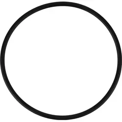 Pentek Dichtung 151121 O-Ring für Slim Line Filtergehäuse